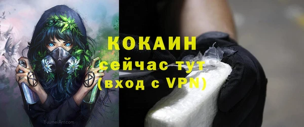 ГАЛЛЮЦИНОГЕННЫЕ ГРИБЫ Липки