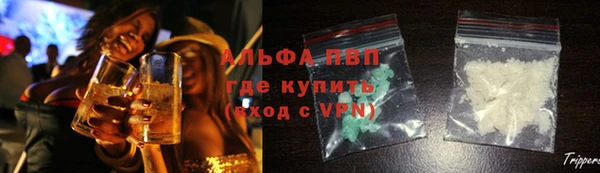 ГАЛЛЮЦИНОГЕННЫЕ ГРИБЫ Липки