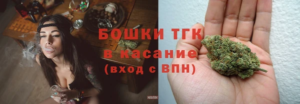 ГАЛЛЮЦИНОГЕННЫЕ ГРИБЫ Липки
