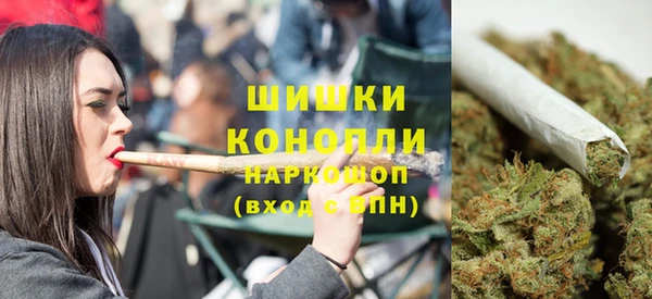 ГАЛЛЮЦИНОГЕННЫЕ ГРИБЫ Липки
