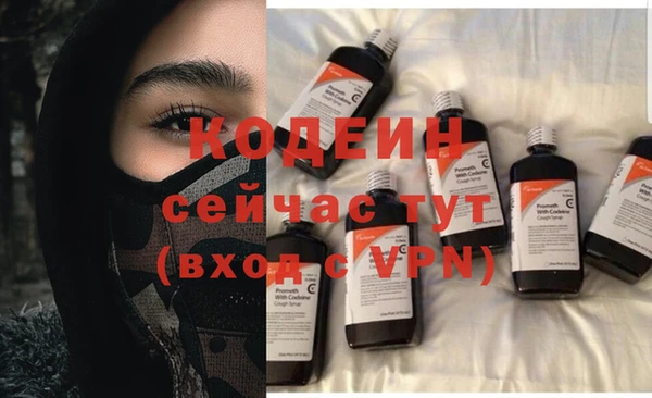 ГАЛЛЮЦИНОГЕННЫЕ ГРИБЫ Липки