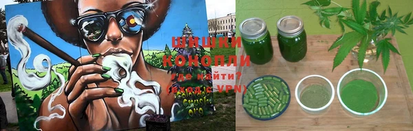 apvp Лиски