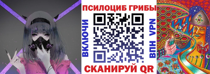 Купить закладки  Бавлы  Псилоцибиновые грибы Magic Shrooms 